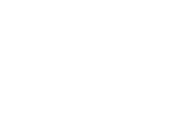 Hamburg steak