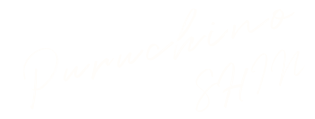 puruchino SHIN