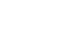 Hamburg steak